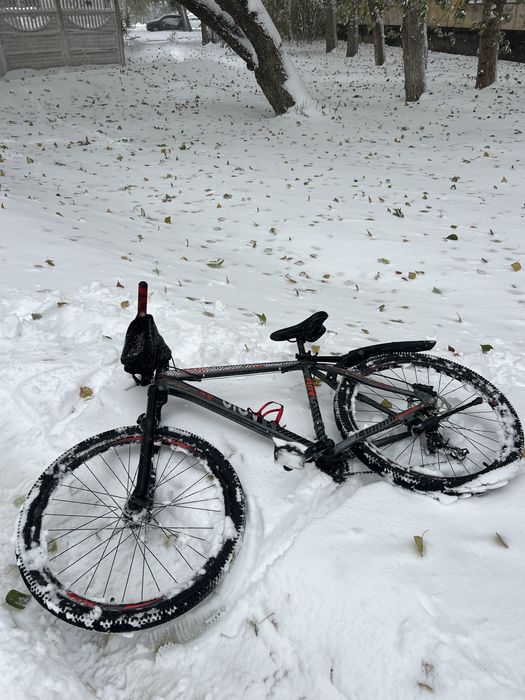 Phoenix Magic 4.0 — стант-проект