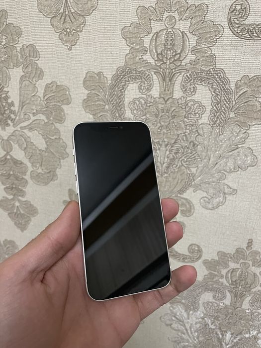 Iphone 12 mini ideal