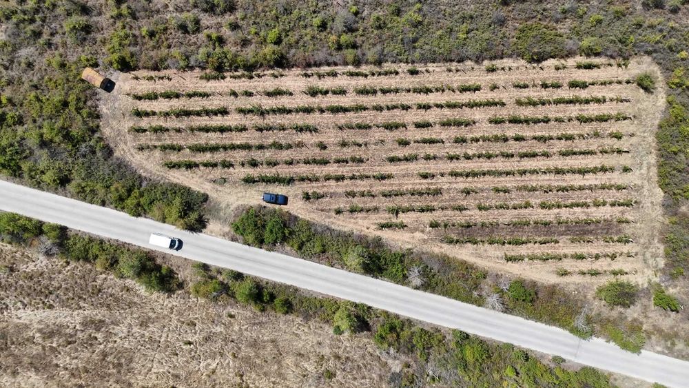 Продава се Парцел в с. Виноградец, Област Пазарджик - 3200 кв.м за 2 €/кв.м - Снимка #3