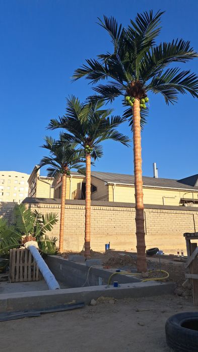 Пальма,пальма искусственный Новый дизайн в Казахстане