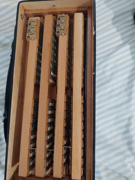 Acordeon Royal Standard 96 basi