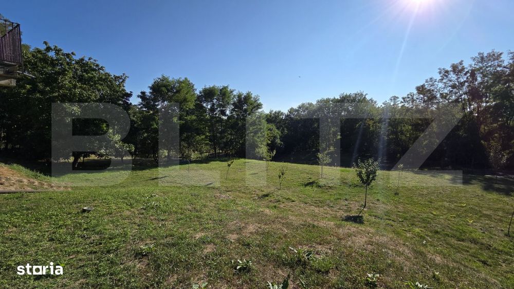 Un colt de natura in Oarda | Casa cu peste 8.000 mp teren si livada