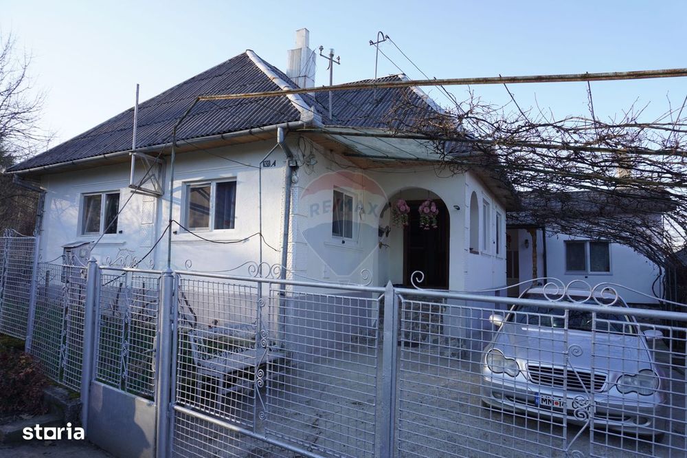 Proprietate cu 2 Case și Teren Generos – Str. Câmpu Negru