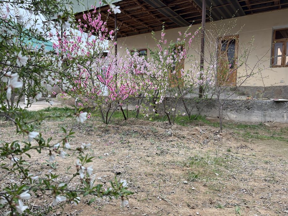 Участка готовый, все удобствам, можно установит отопления, трубы,катёл