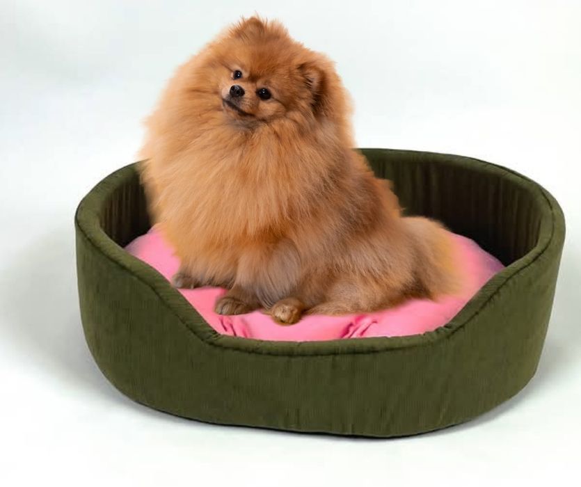 Легла за домашни любимци