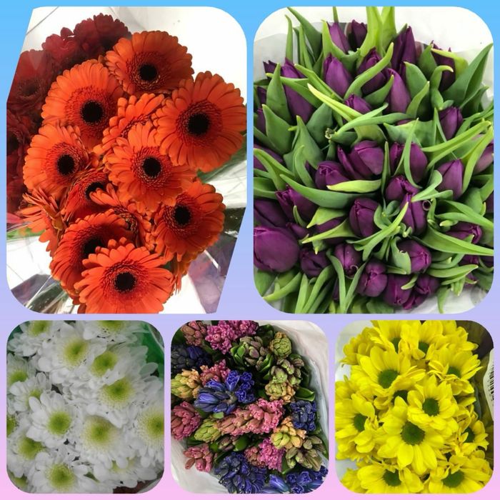 Оптом тюльпаны корпоративным клиентам