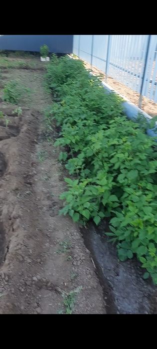 Продам дачу с/оАгротехснаб