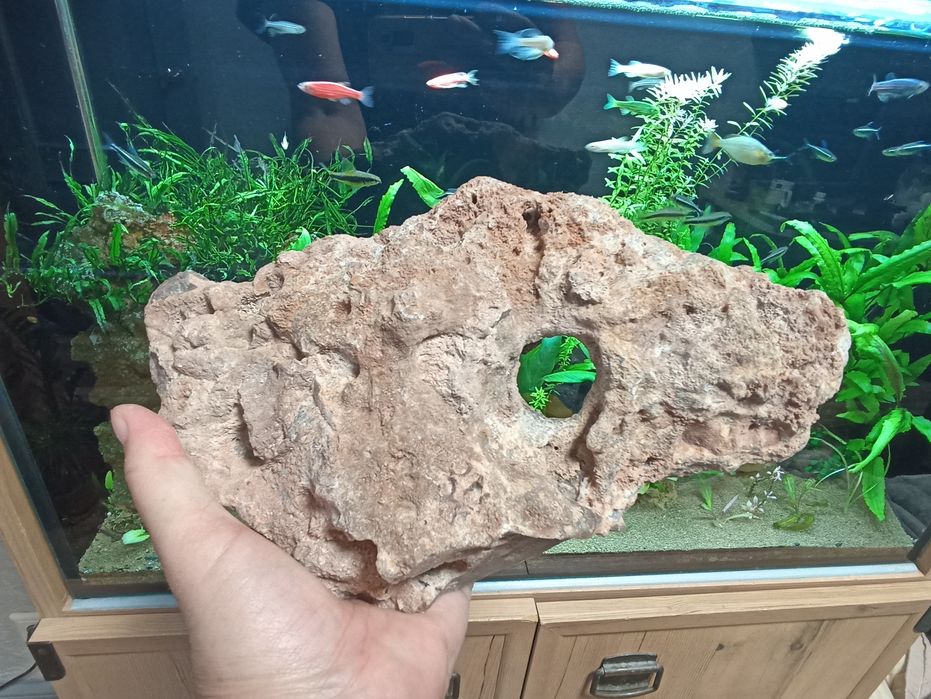 Камни для аквариума. От 500 до 6000 тенге.