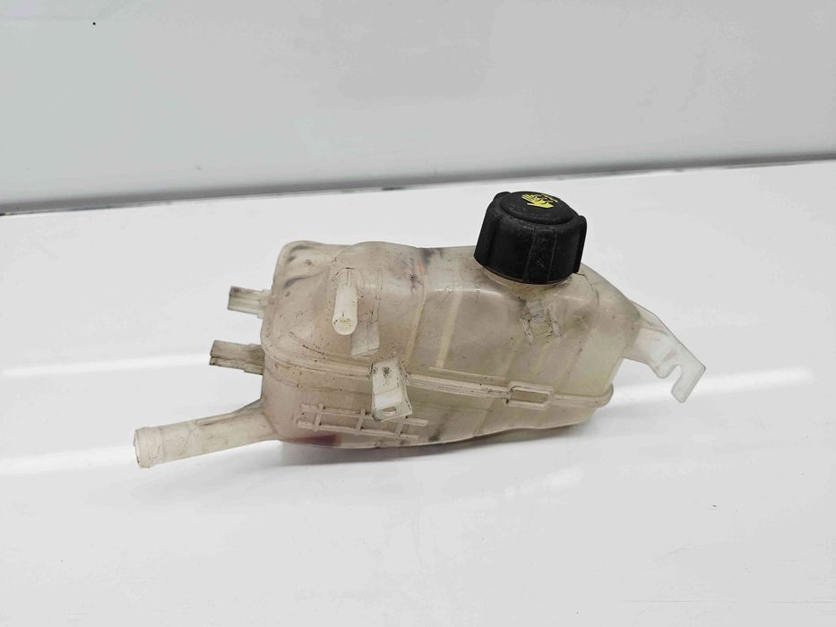 Vas expansiune Renault Scenic 3 [Fabr 2009-2015]