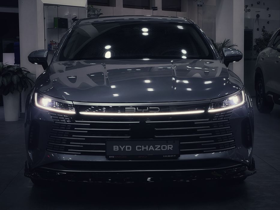 BYD Chazor 1,2,4 позиции