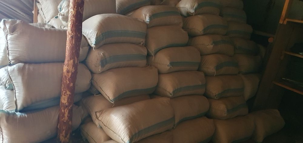 Опилки  в  МЕШКАХ . г. Костанай