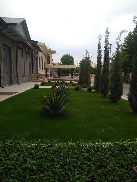 Газоны цветы деревья