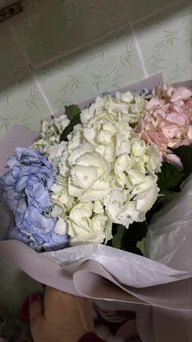 Цветы живые не дорогг