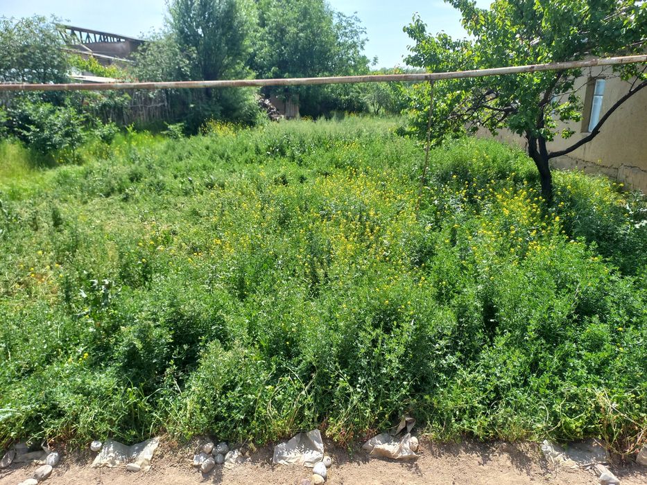 Yer sotiladi 6 sotik yo'lni yuzida gaz svet suv bor kadastrli