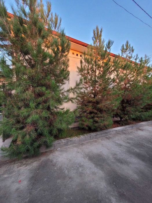 Ховли сотилади 8 сотих Бектемир