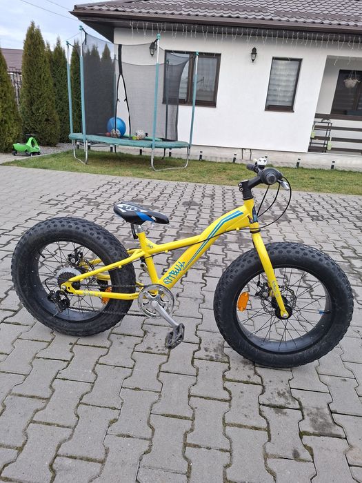 Bicicleta fat  bike