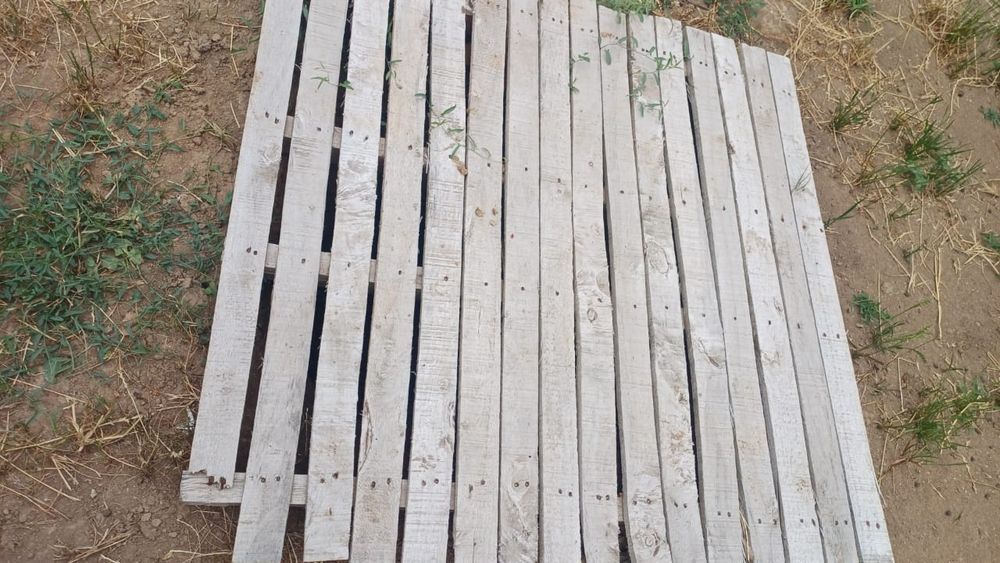 Поддоны ,палеты  осталось 8 штук