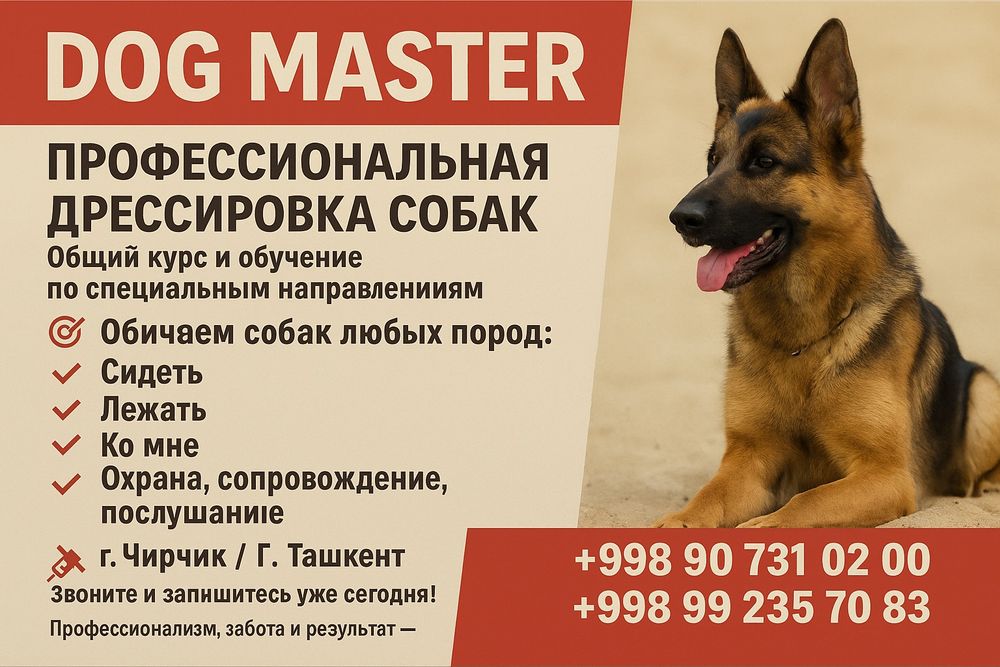 Дрессировка собак и груминг