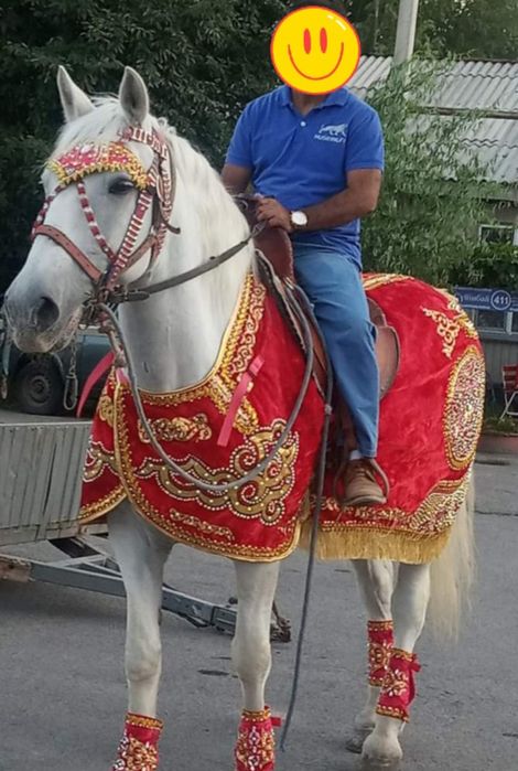 Карета Золушка катание