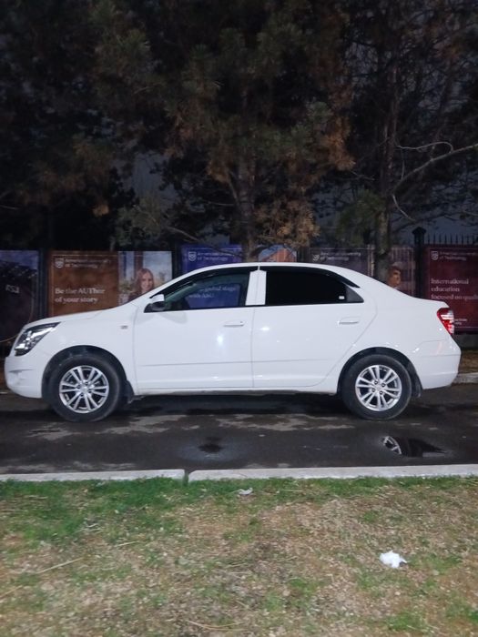 Arenda. Nasiya cobalt