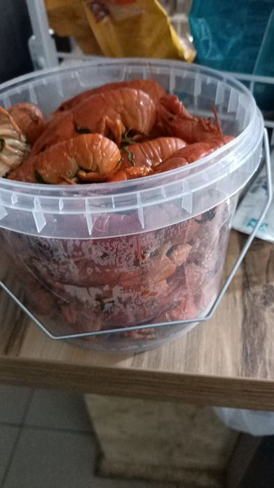 Раки  раки раки  раки