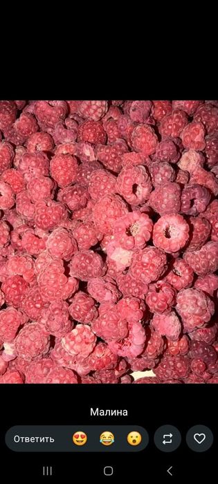 Продам свежую сладкую ягоду