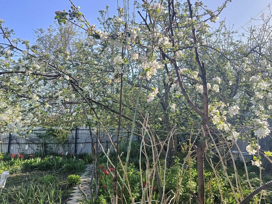 Продам Дом Дачу жилую