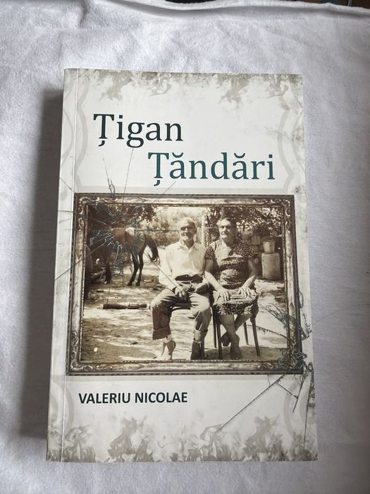 Carte Tigan tandari de Valeriu Nicolae