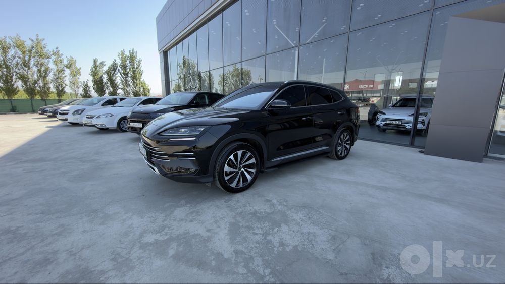 Byd song plus champion