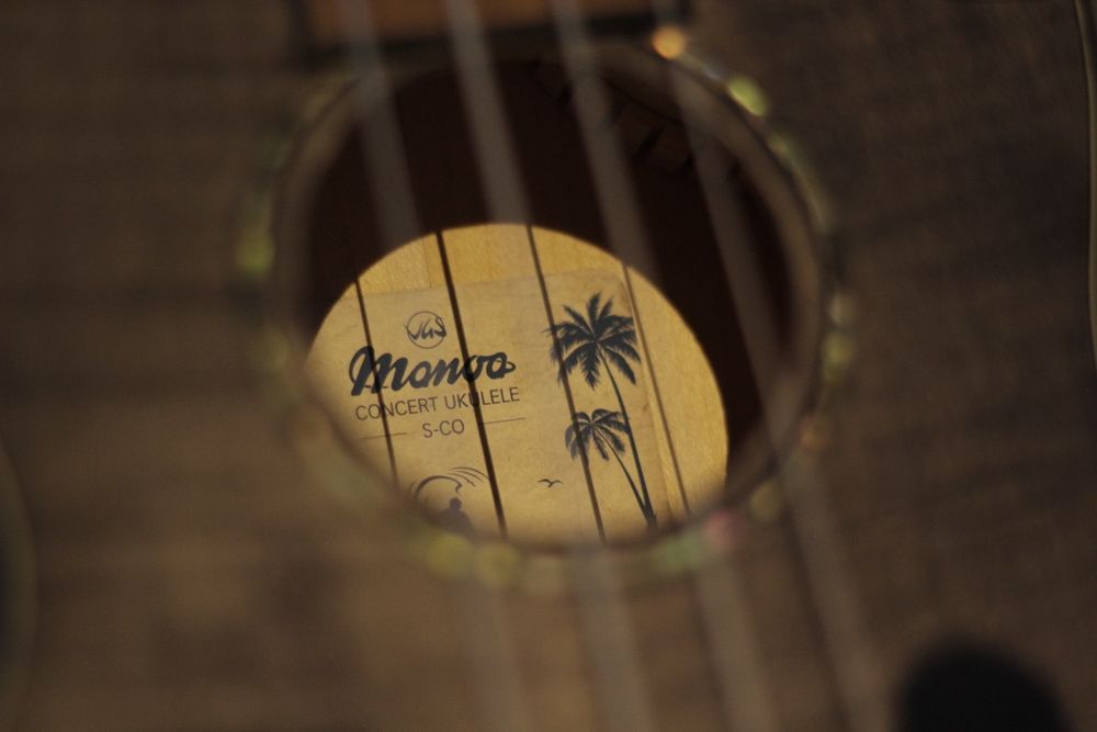 Ukulele Concert Manoa Vas