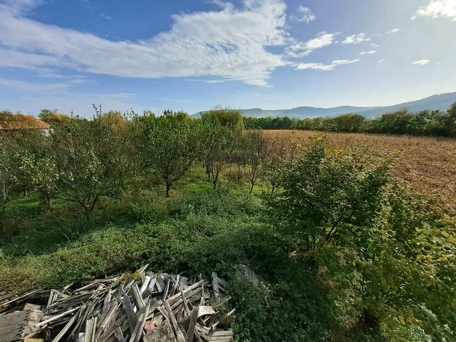 Vând teren intravilan l in suprafața 19000 mp. și hala