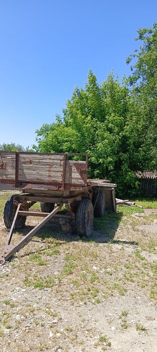 Телешкы жагдайы жаксы
