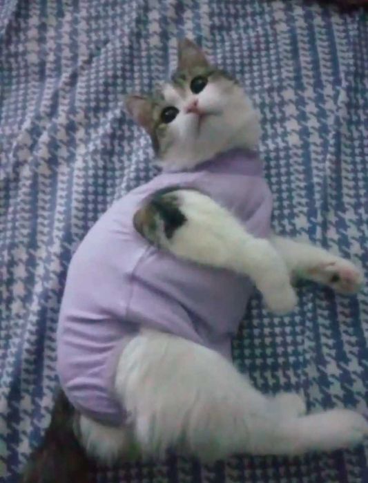 Нежная малышка ищет дом