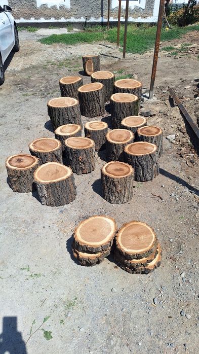 Чурбак  Карагач под рубку мяса.