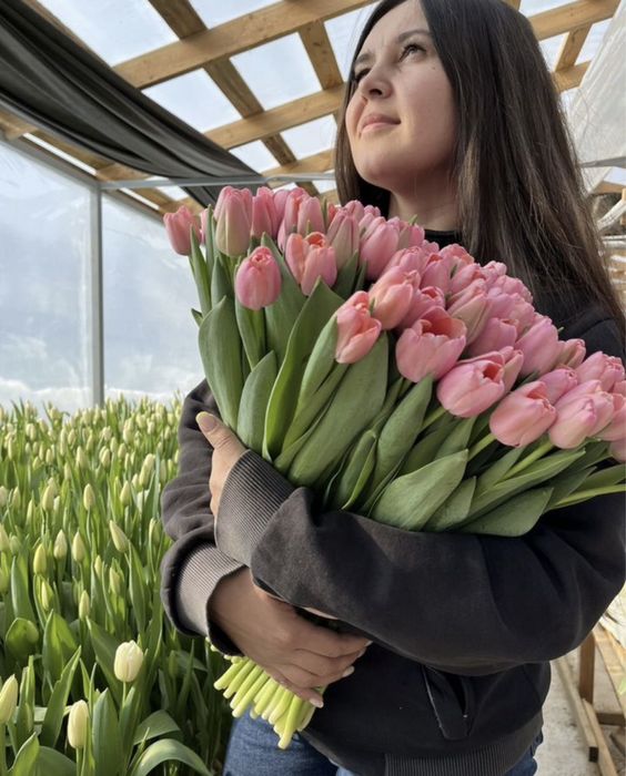 Белорусский тюльпан оптом со склада