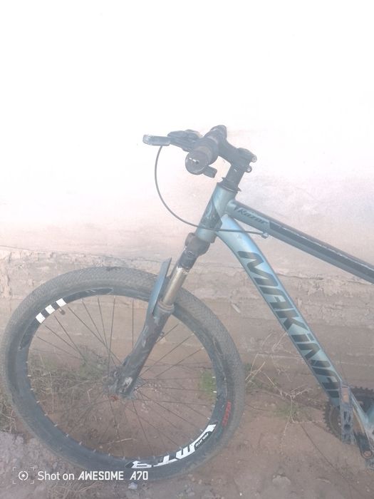 Велик сатылады 40к падарка барыс велик