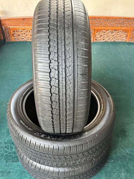 225/55/19 dunlop balon