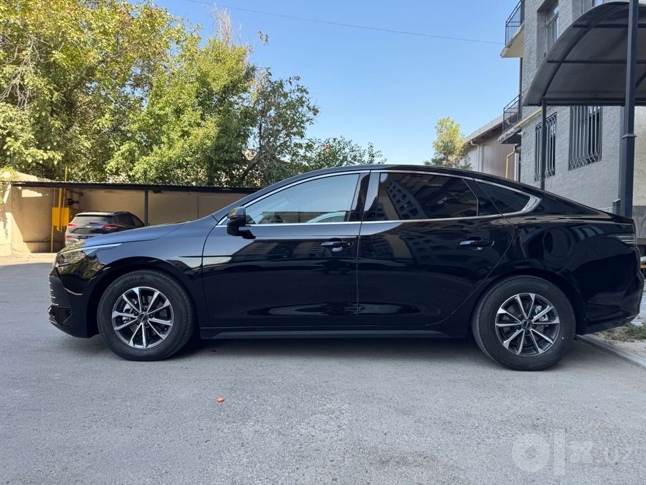BYD Chazor 1-pozitsiya sotiladi