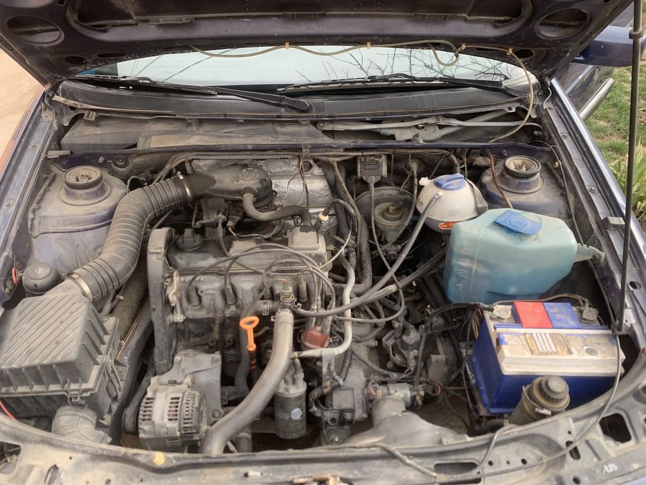 Пассат Арьева ВЗ