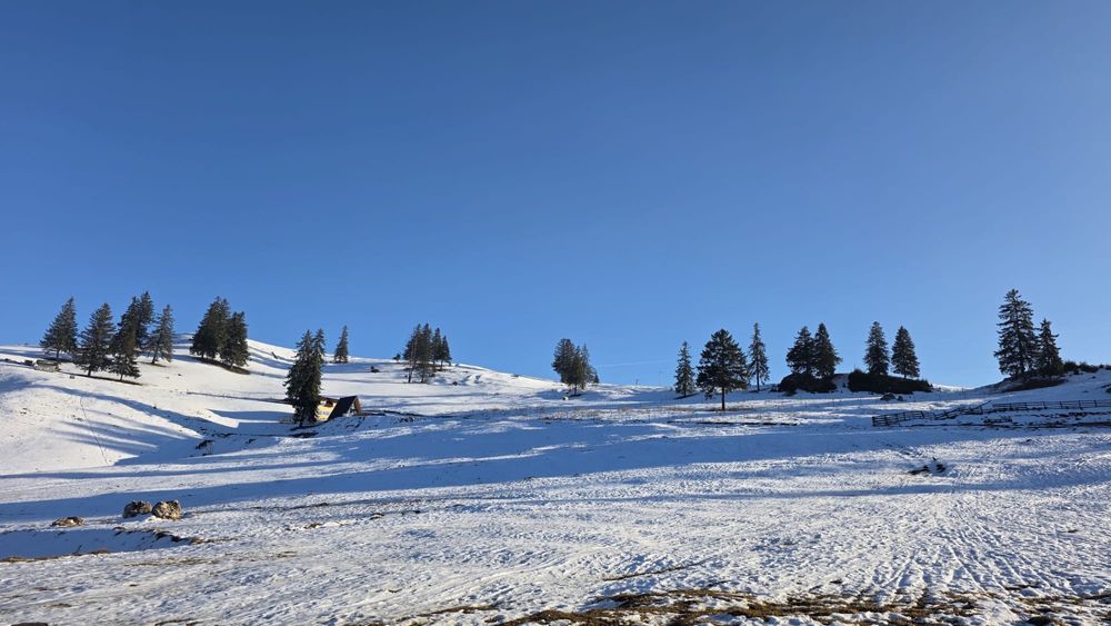 Pensiune de inchiriat in Fundata Dambovicioara