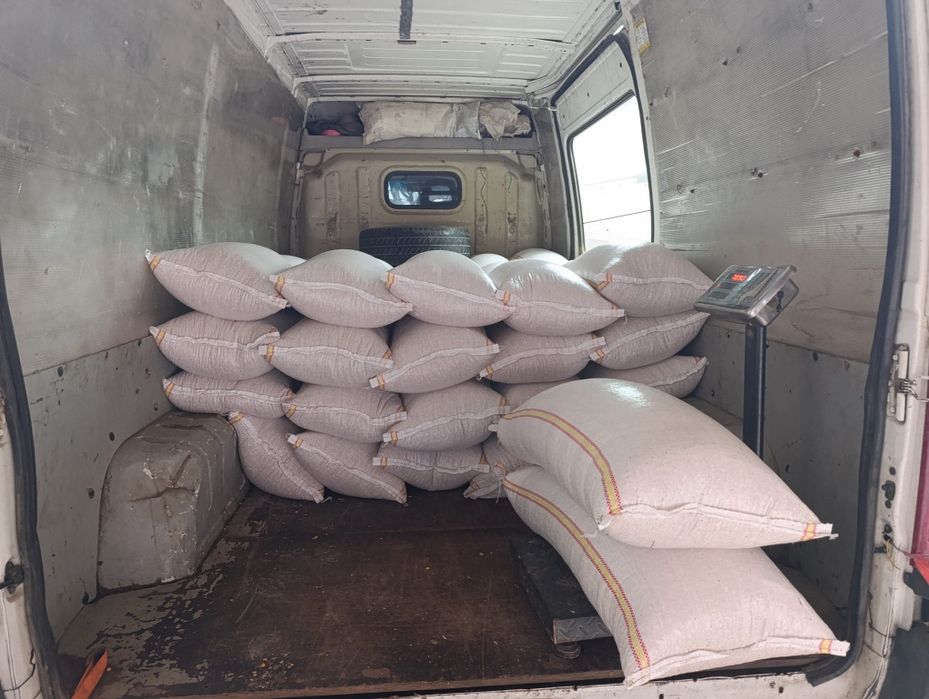 Porumb boabe 2025 posibilitate transport