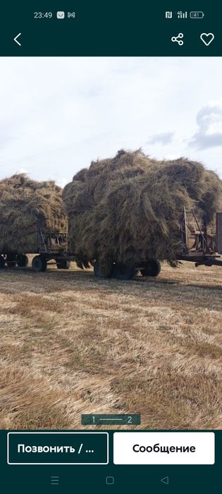 Продам сено луговое