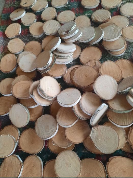 Lemn decorativ de mesteacan / Trunchi mesteacan / Rondele , felii lemn