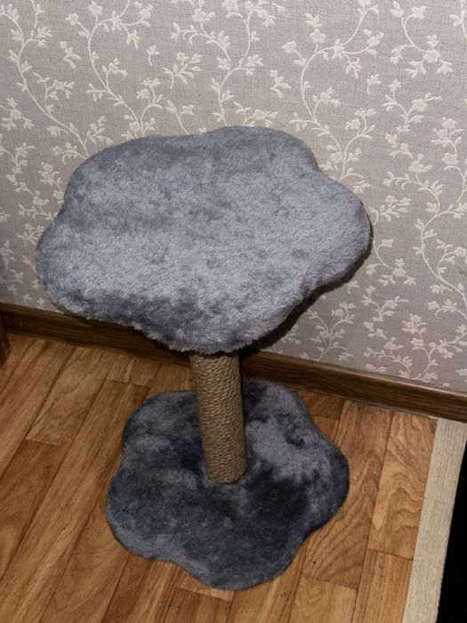 Когтеточка для котят