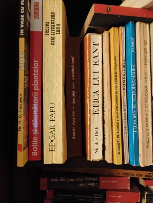 Carte filosofie , Noica, Nietzsche, Kant etc
