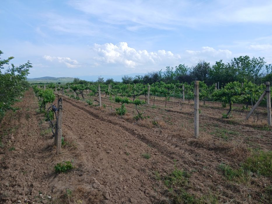 Продава се Земеделски имот в с. Карабунар, Област Пазарджик -  кв.м за 2 €/дка - Снимка #2