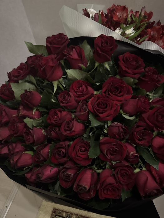 Свежие розы 51 штук