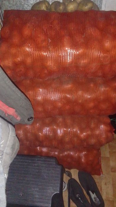 Картофель местный с доставкой до подъезда.