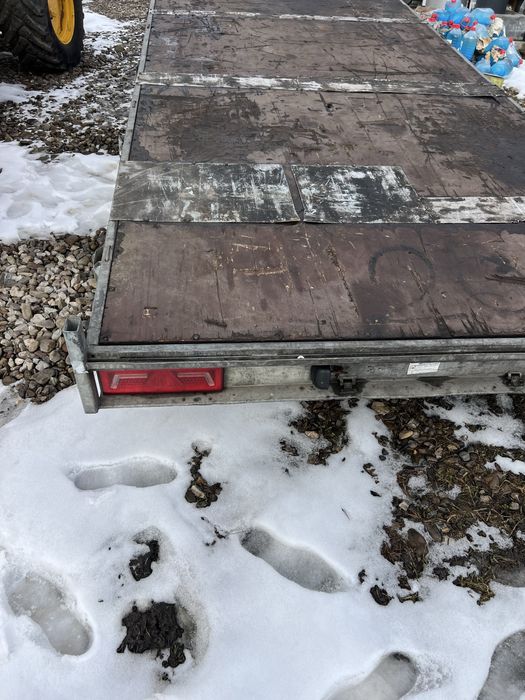 Platforma Eduard cu suspensie