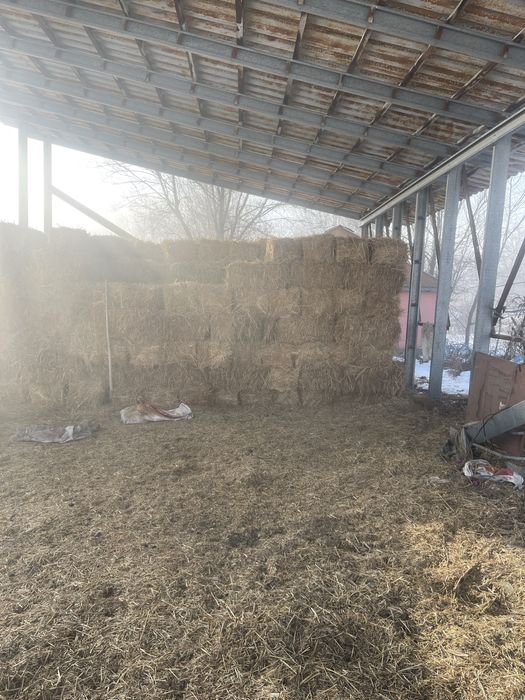 Продам сено клевер с разнотравьем